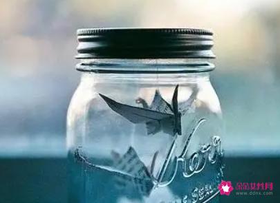 女孩微信网名优雅大气简短