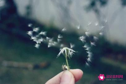 女孩微信网名优雅大气简短