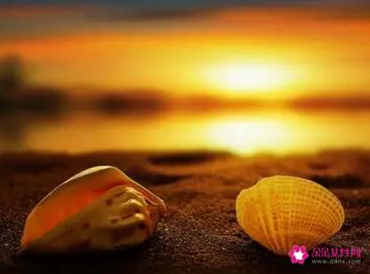 女孩微信网名优雅大气简短