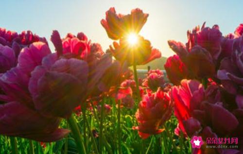 男生喜欢到极致才会舍不得碰