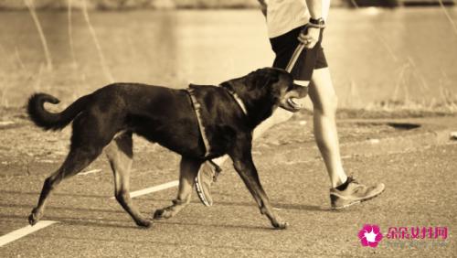 8种性感男人类型