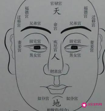 人相学你知道多少