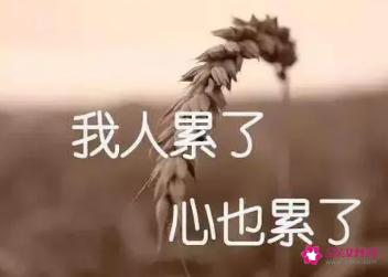 一个人心烦的伤感说说