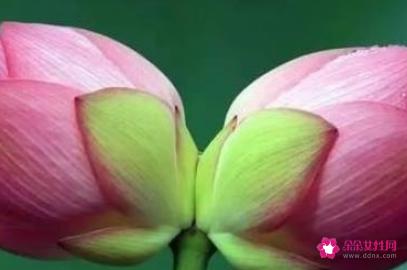 哪些东西象征爱情