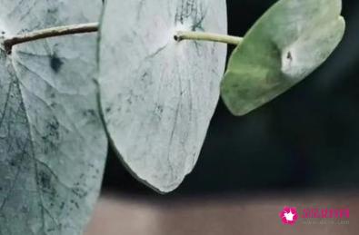 家的寓意是什么