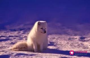 人生不如意十之八九