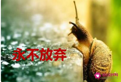永不放弃的名言