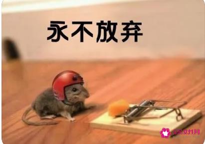 永不放弃的名言