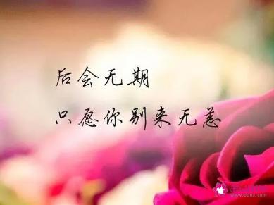 让对方看到忽然心疼的句子图片