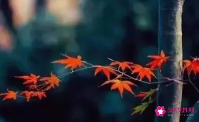 表达缘分已尽的句子