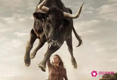 中华田园女权事件