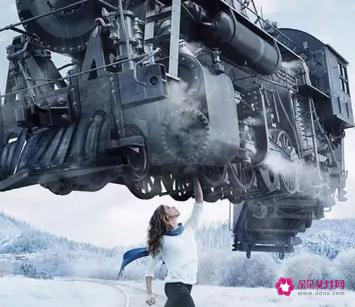 中华田园女权事件