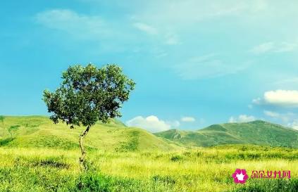 《再见，总有一天》美文