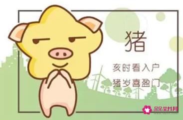 1983年属猪人的后半生命运