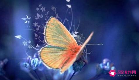 夫妻义务的蝴蝶效应