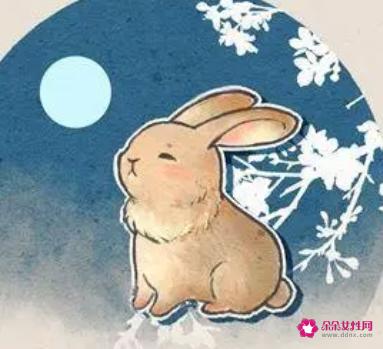 属兔下半年要出大事