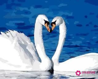 表达爱意的红包数字有哪些