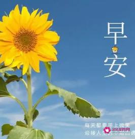 特别暖心的早安语