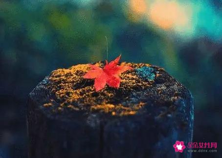 暗示想念某人的句子