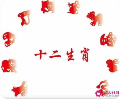 成语解十二生肖