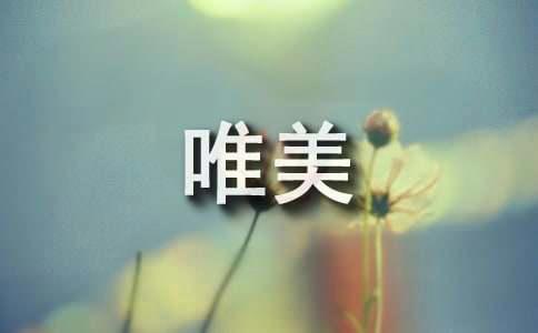 简洁的唯美的话语录50条