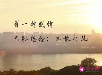想念却不敢打扰的诗句