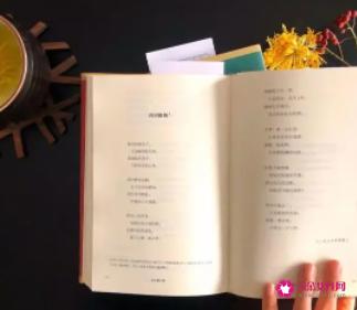 徐志摩最惊艳的情话