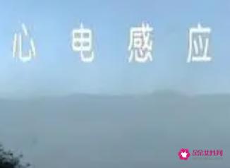 那一年的心电感应美文