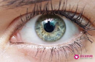 眼部护肤品有哪些