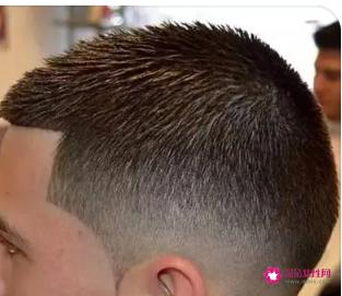 发量少适合什么发型男