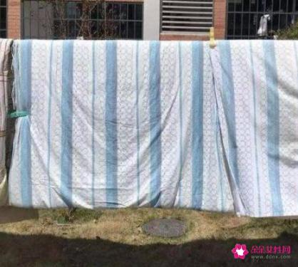 螨虫最怕这3种东西