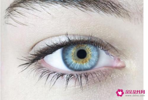 内双是双眼皮还是单眼皮