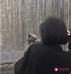 最火短发减龄发型
