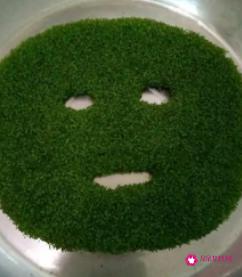 海藻面膜真的有用吗