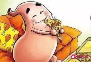 细胞的功能作用