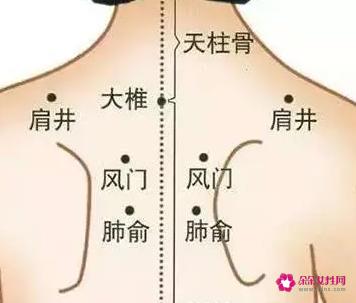 拔罐12个位置示意图
