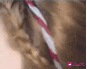 十种齐肩短发扎发