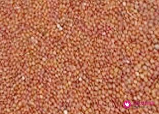 海藻面膜的功效作用有哪些