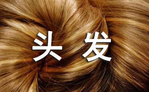 头发少怎么增加发量