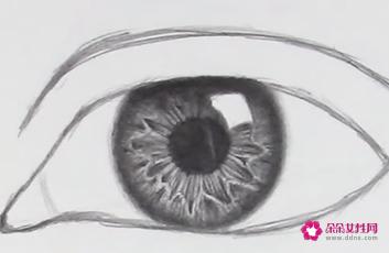 眉毛怎么画素描