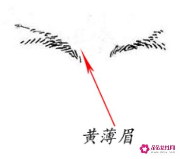 6种不吉利男人眉毛看相图解