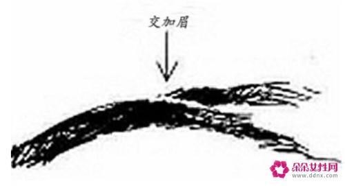6种不吉利男人眉毛看相图解