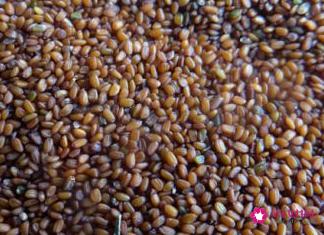 敷海藻面膜一般敷多长时间最合适