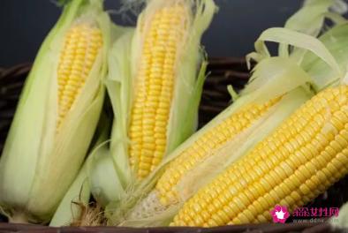 减肥期间吃什么最容易瘦下来