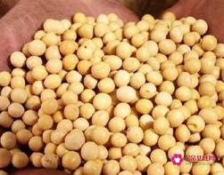 女人抗衰老吃什么好