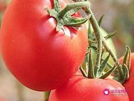 女人抗衰老吃什么好