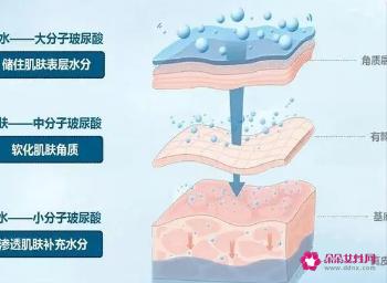 面膜补水成分有哪些