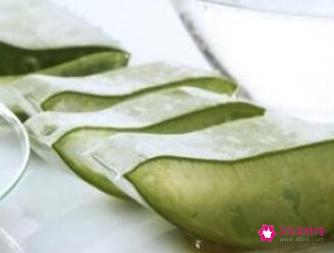 用芦荟擦脸的正确方法