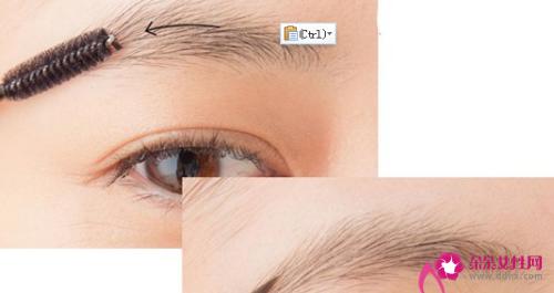 必须掌握的画眉毛技巧