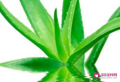 怎样美白脸部皮肤最快方法是什么